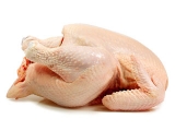 影响肉鸡皮肤色泽的因素