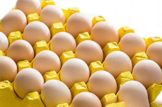 鸡蛋价格止跌回升预计中秋节前将继续上涨
